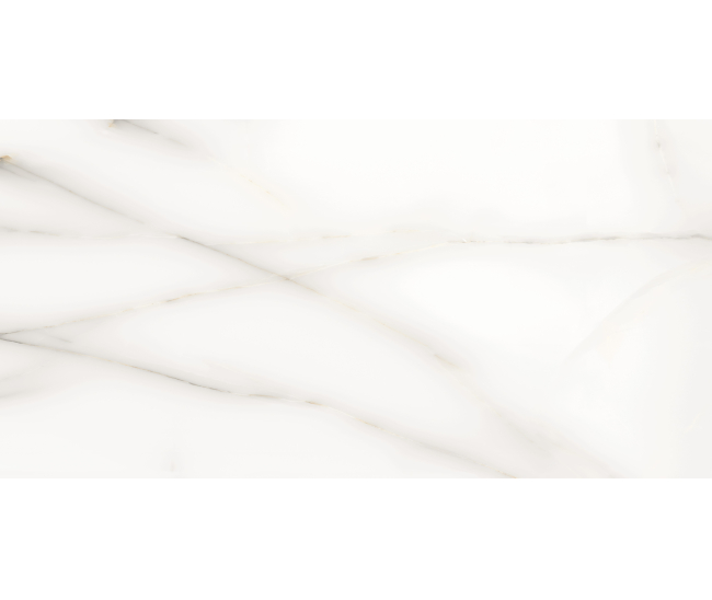 Classic Onix White Pol (G) 60x120 R