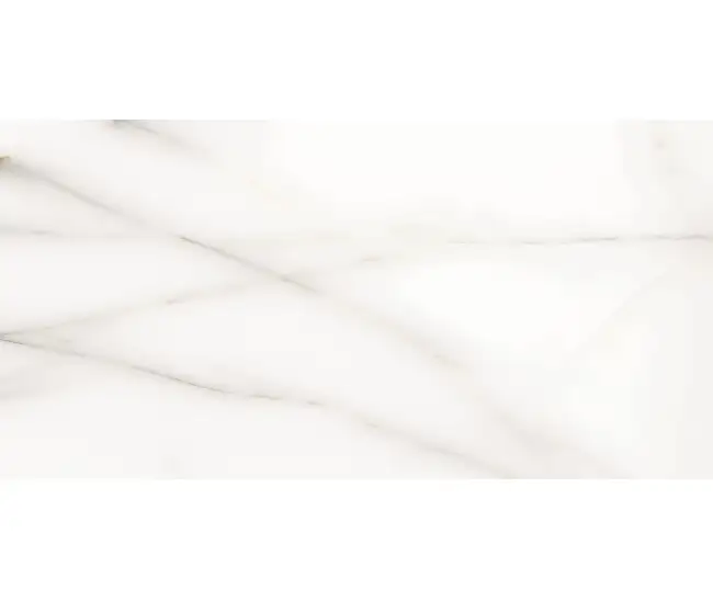 Classic Onix White Pol (G) 60x120 R