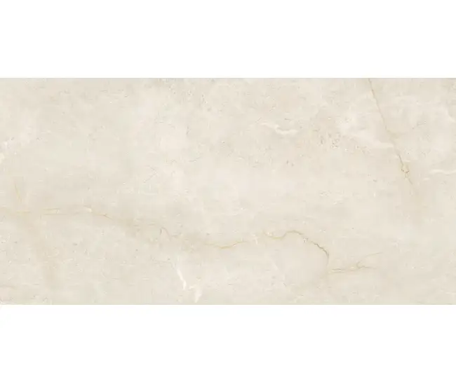 Bottochino Taupe Pol (G) 60x120 R