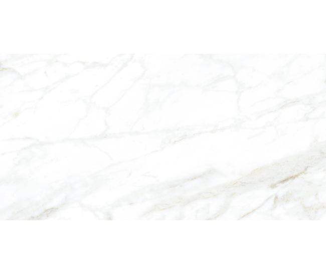 Unique Calacatta S.Mat 60x120 R