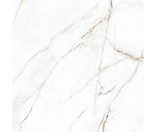 Torano Dorado Mat 60x60 R