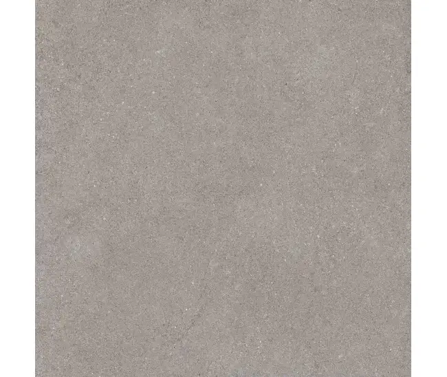 Luna Light Grey LN-02 60x60 R