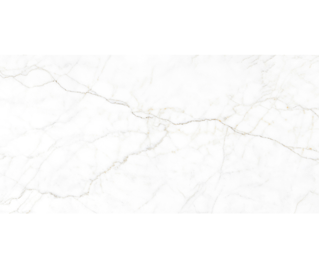 Calati White Pol (G) 60x120 R
