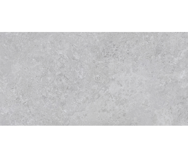 Borga Silver Mat 60x120 R