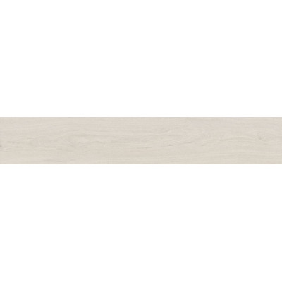 Betelu Arce Mat 20х120 R