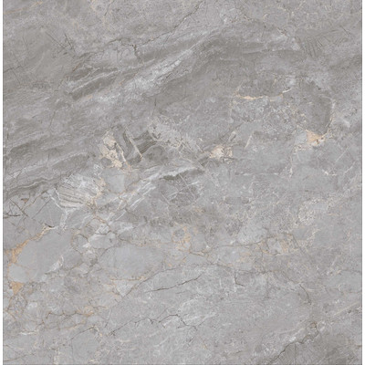 Haze Grey Pol 120x120 R