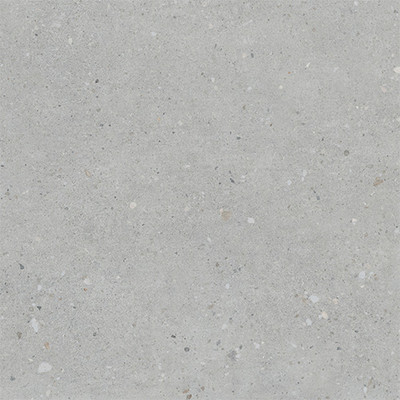 FlakeCement Серый мат. 60x60 R