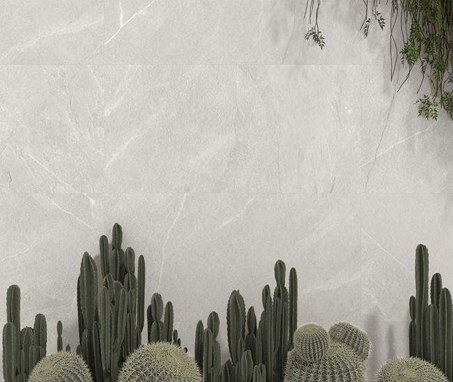 Mythe White Mat 60x120 R