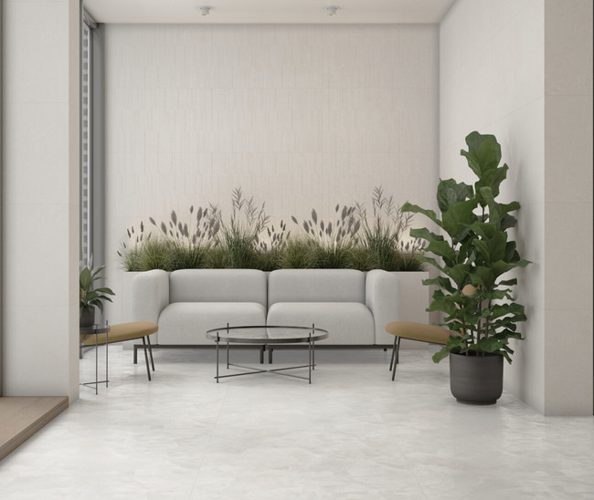 Nora White Mat 60x120 R