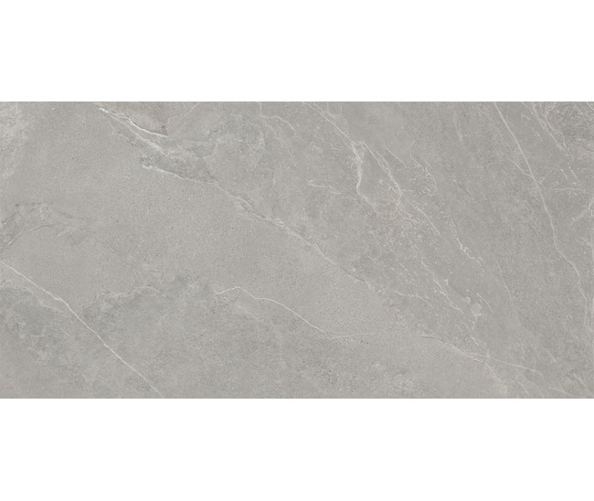 ArdeStone Серый мат. 60x120 R