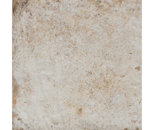Havana Sugar Cane 40x40