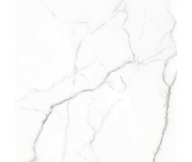 Statuario Marc Pol (G) 120x120 R