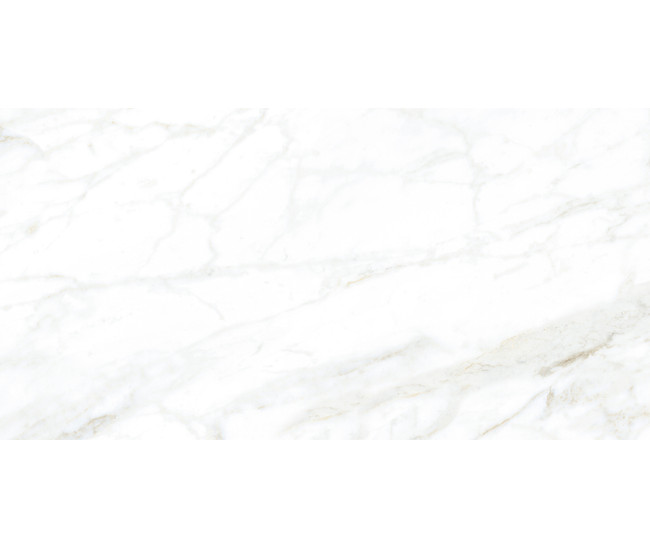 Unique Calacatta Pol (G) 60x120 R
