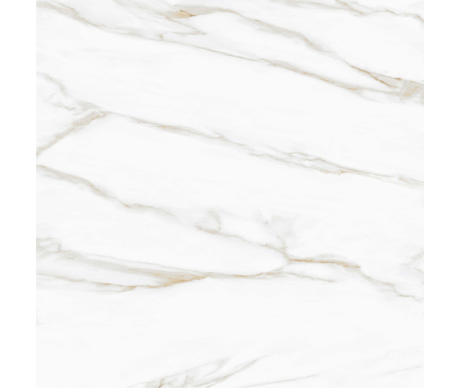 Oriental White S.Mat 120x120 R