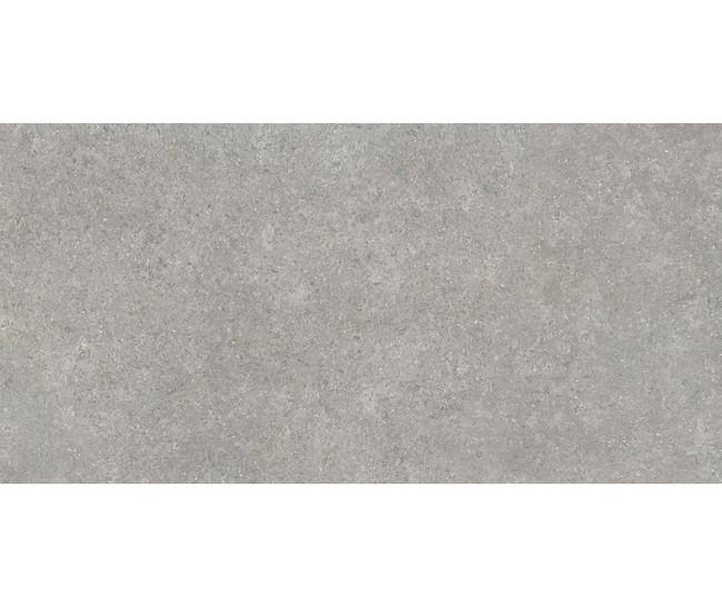 SandStone Серый мат. 60x120 R