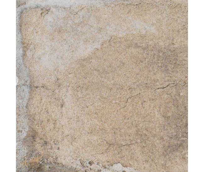 Havana Sugar Cane 20x20