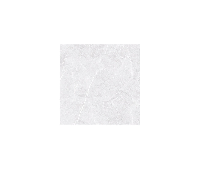 Bulgaria Silver Mat 60x60 R