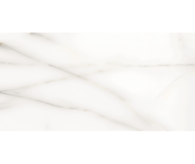 Classic Onix White Pol (G) 60x120 R