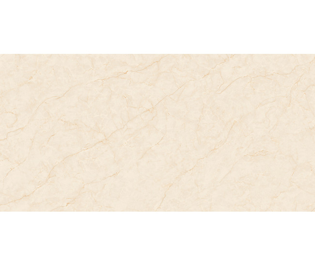 Textures Ivory Mat (CRV) 60x120 R