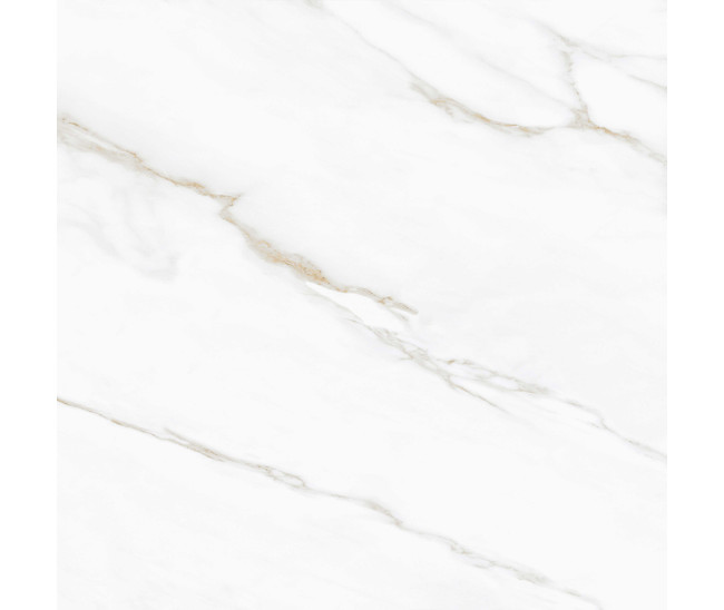Oriental White Pol (G) 120x120 R