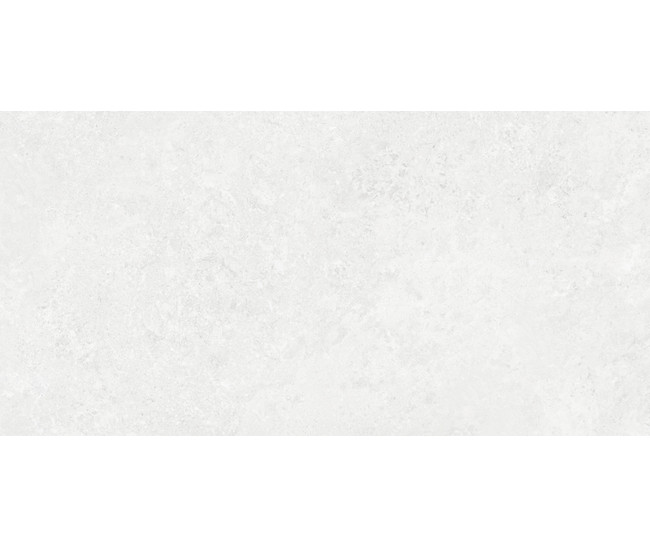 Borga White Mat 60x120 R