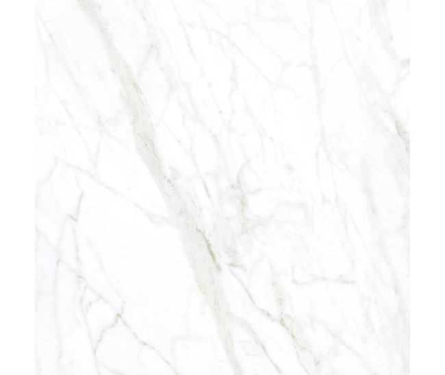 Unique Calacatta Pol (G) 120x120 R